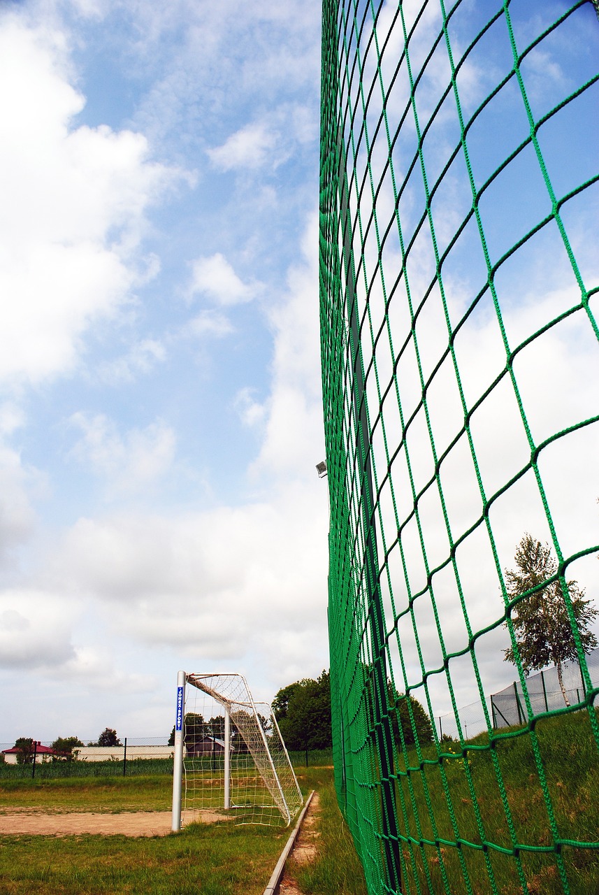 新生代球员 新生代球员