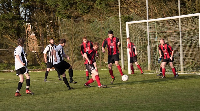 而近年来在 而近年来在