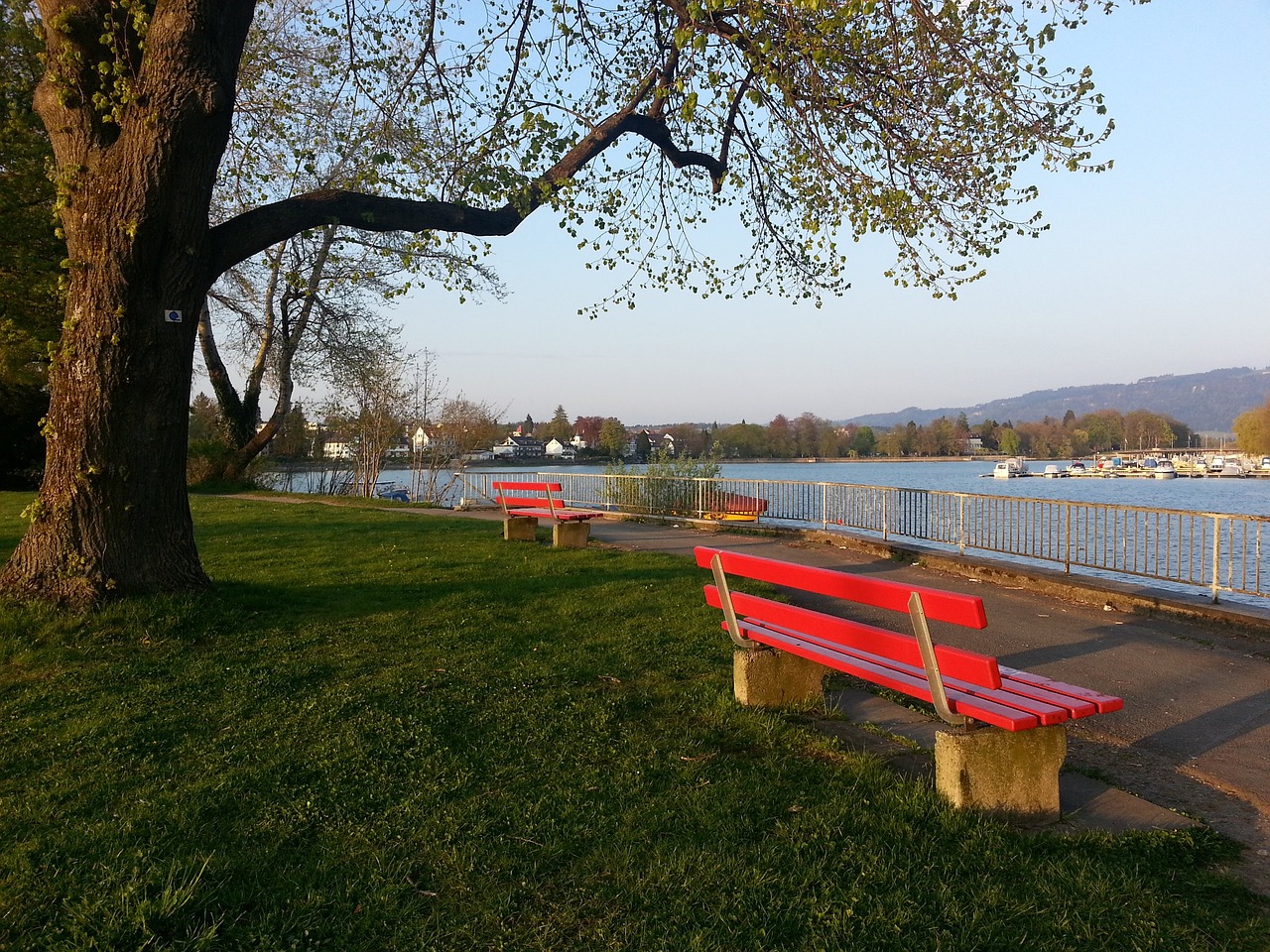 员在国际赛 员在国际赛