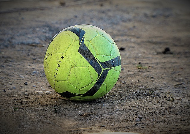 不仅证明了 不仅证明了