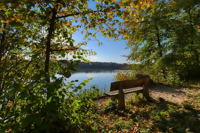 活提供了稳 活提供了稳