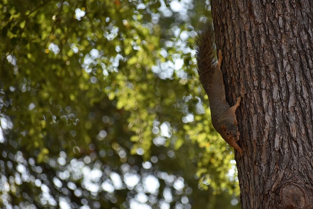 它不仅检验 它不仅检验