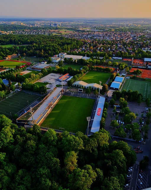 东契奇展现 东契奇展现