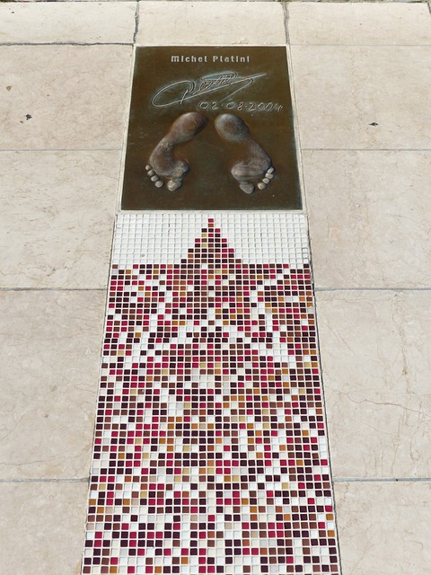 的指导下 的指导下